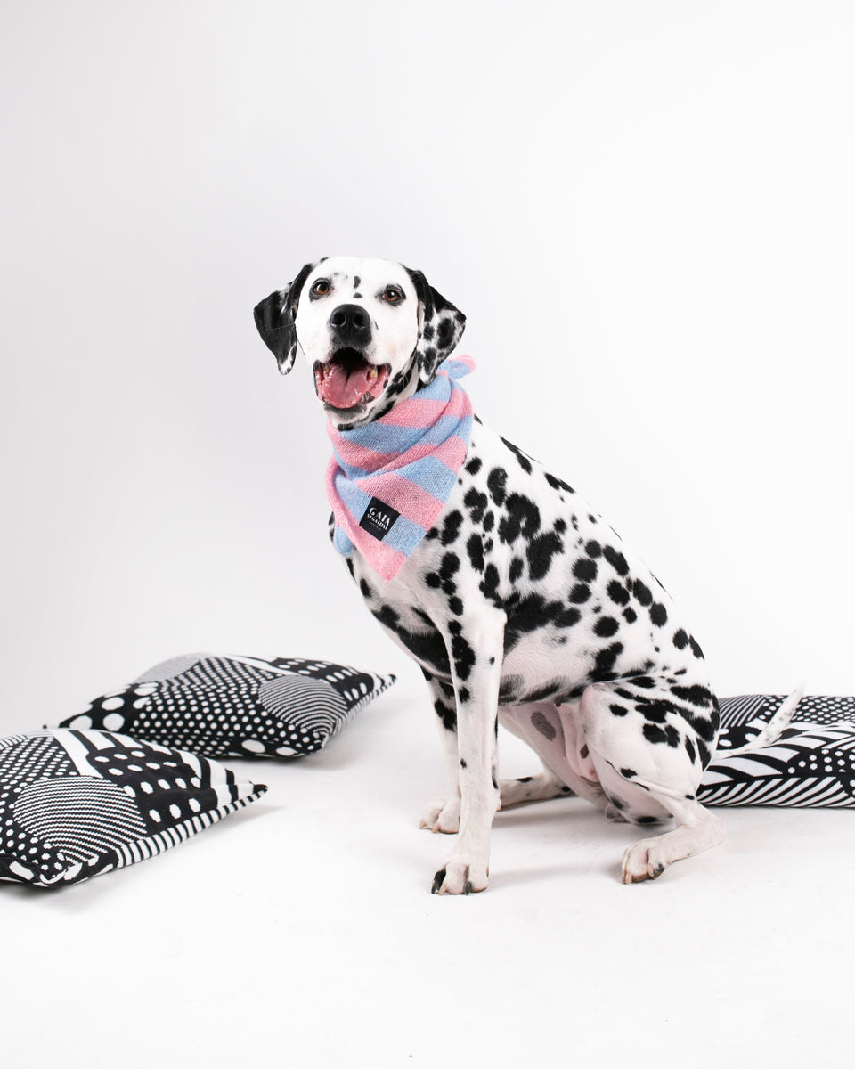 Pet Forever - Mini foulard in mohair - Rosa Azzurro