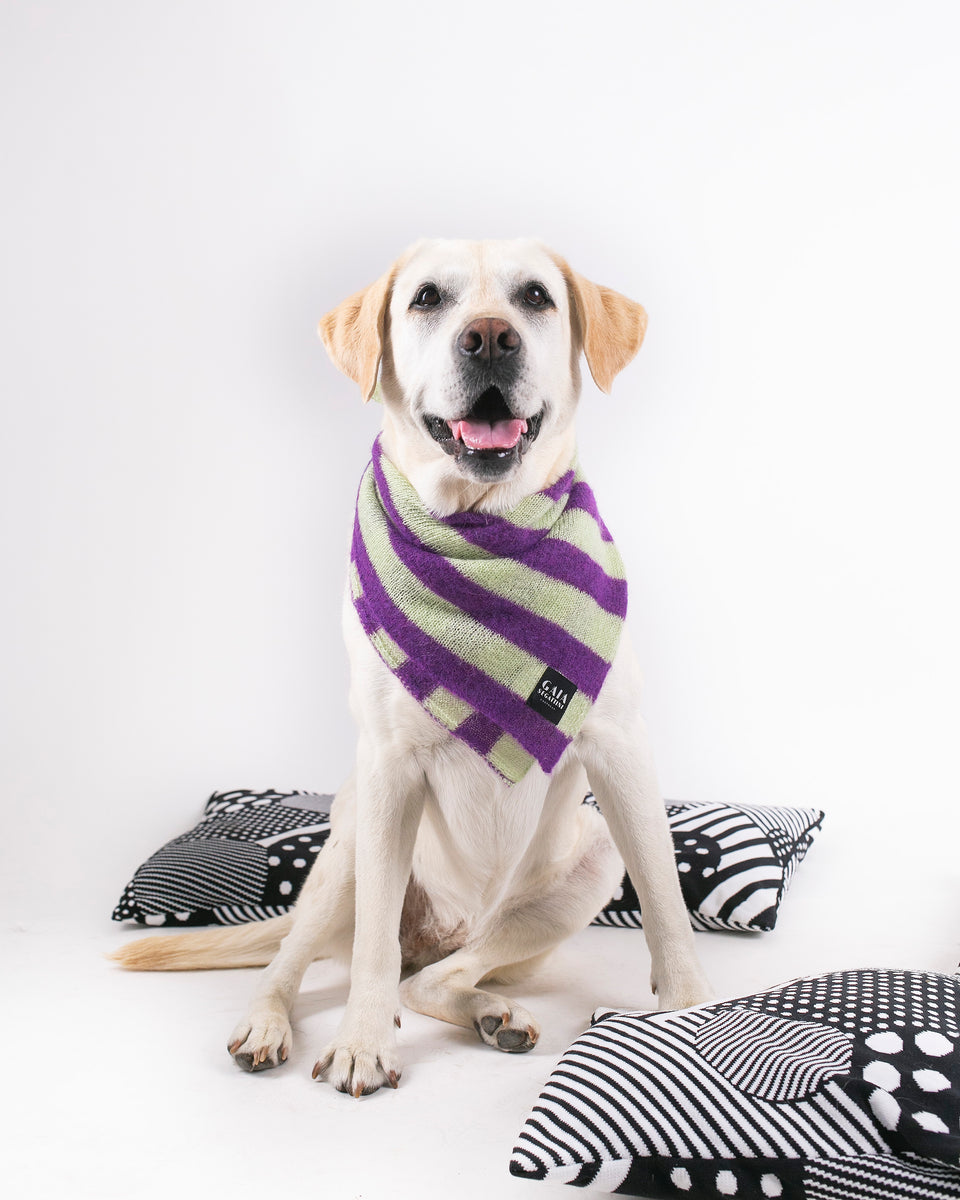 Pet Forever - Mini foulard in mohair - Viola Pistacchio