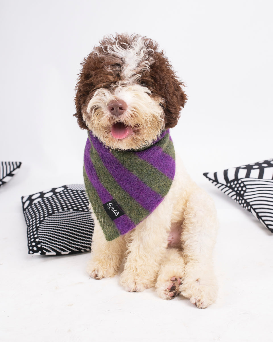 Pet Forever - Mini foulard in mohair - Oliva Viola