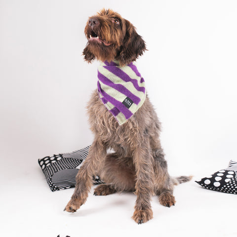 Pet Forever - Mini mohair scarf -  Purple Pistachio