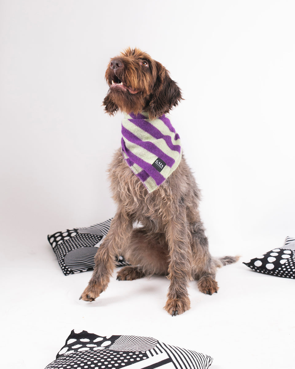 Pet Forever - Mini foulard in mohair - Viola Pistacchio