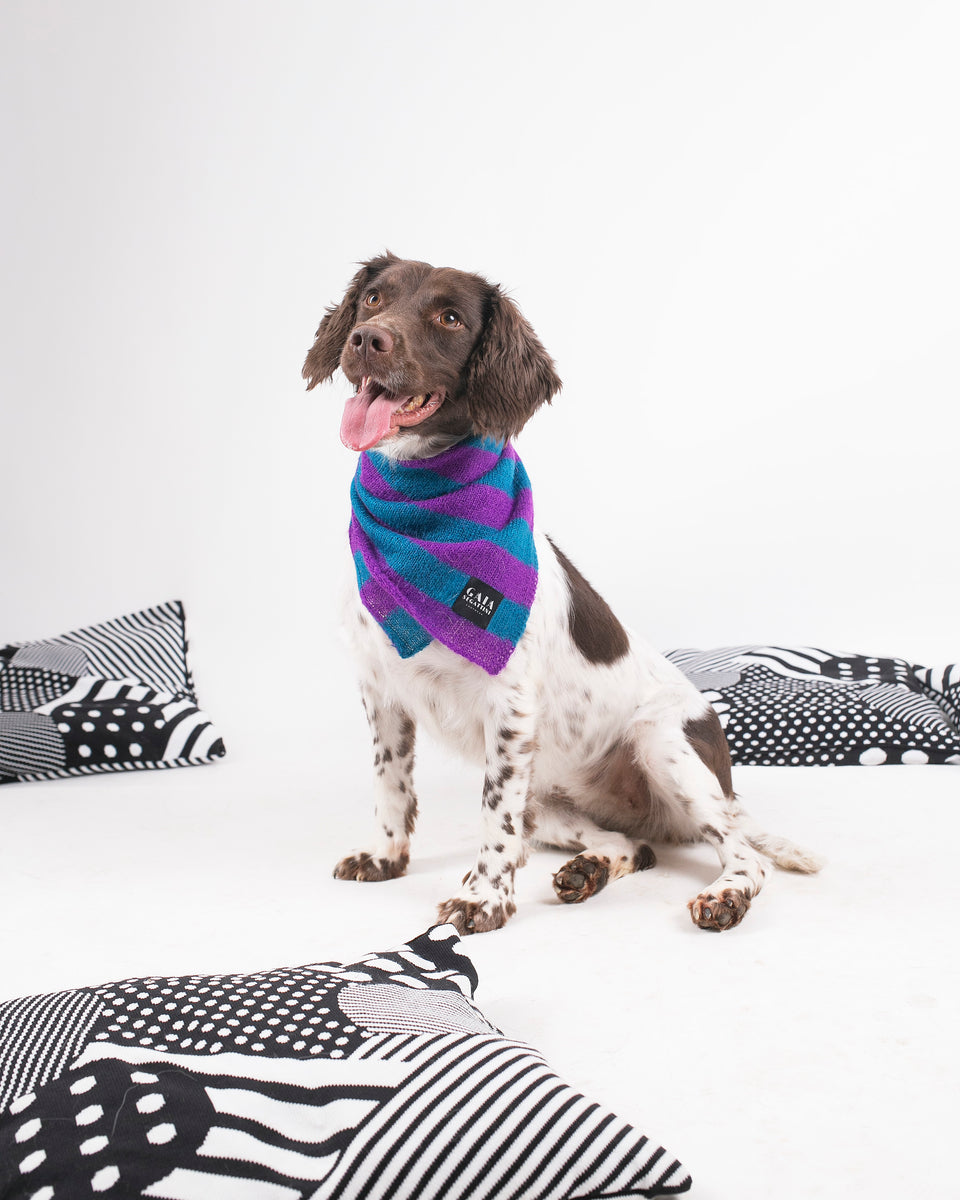 Pet Forever - Mini foulard in mohair - Viola Ottanio