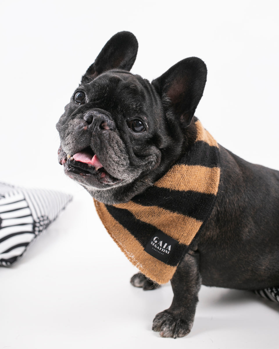 Pet Forever - Mini foulard in mohair - Cammello Nero