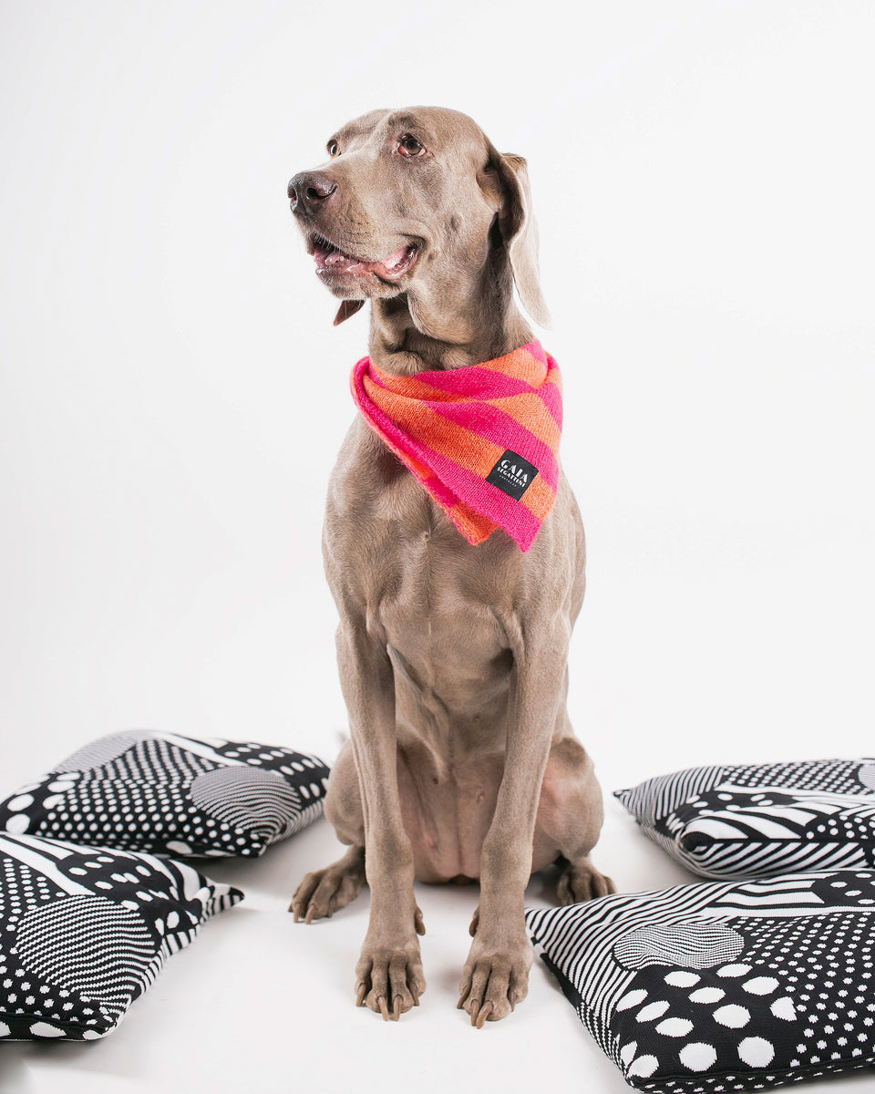 Pet Forever - Mini foulard in mohair - Fucsia Mandarino