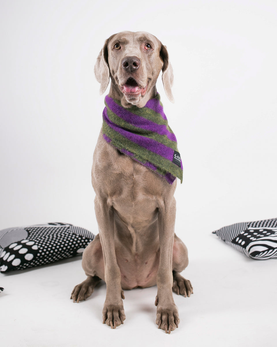 Pet Forever - Mini foulard in mohair - Oliva Viola