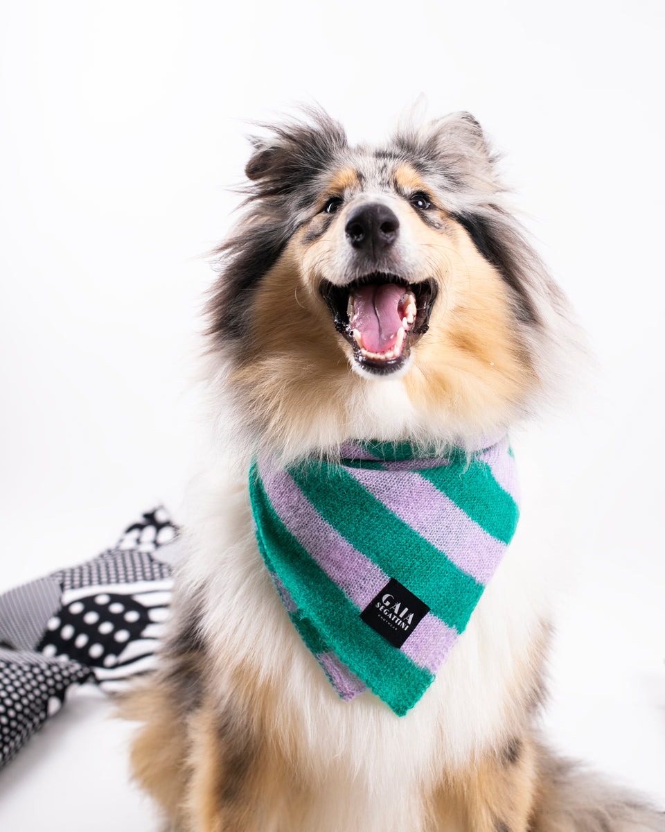 Pet Forever - Mini mohair scarf -  Emerald lilac