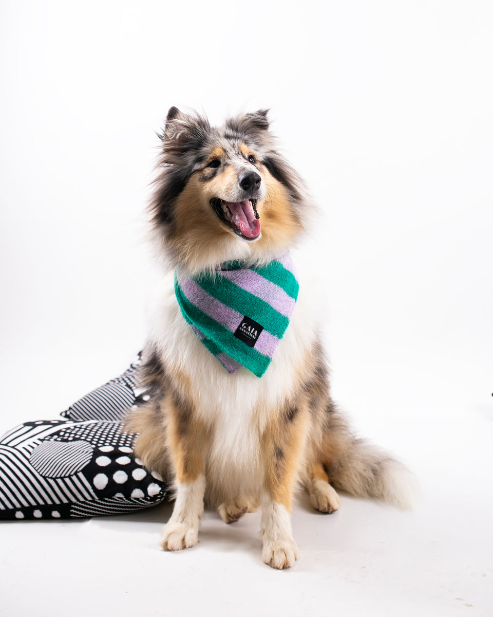 Pet Forever - Mini mohair scarf -  Emerald lilac